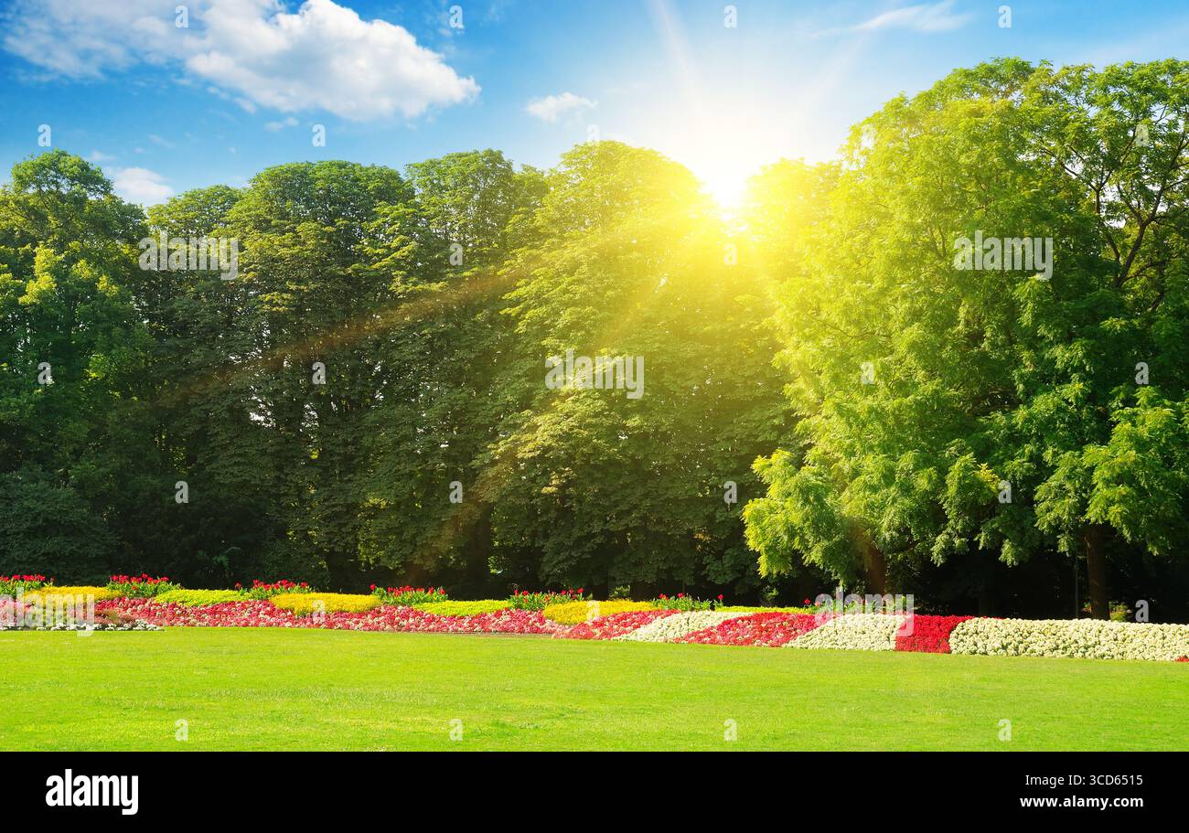 Ein schöner Sommergarten mit weitläufigen Rasenflächen und bunten Blumenbeeten. Breites Foto. Stockfoto
