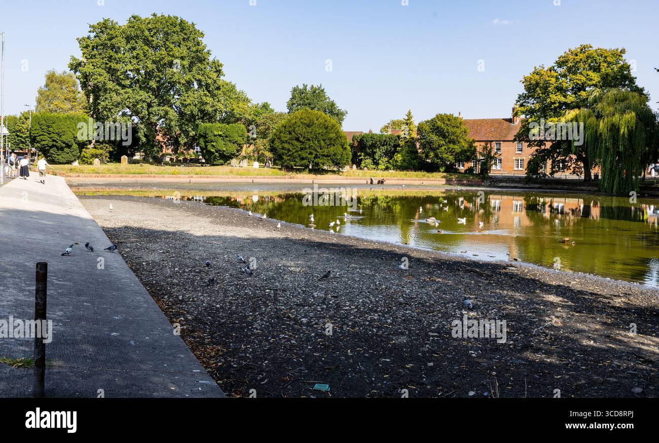 Der Crammer, ein Teich in Devizes Wiltshire, trocknete bei heißem Wetter im August 2025 teilweise aus Stockfoto