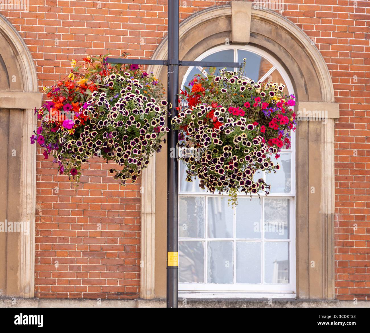 Farbenfrohe hängende Körbe mit blühenden Blumen vor einem Backsteingebäude mit Bogenfenstern in einer malerischen urbanen Umgebung Stockfoto