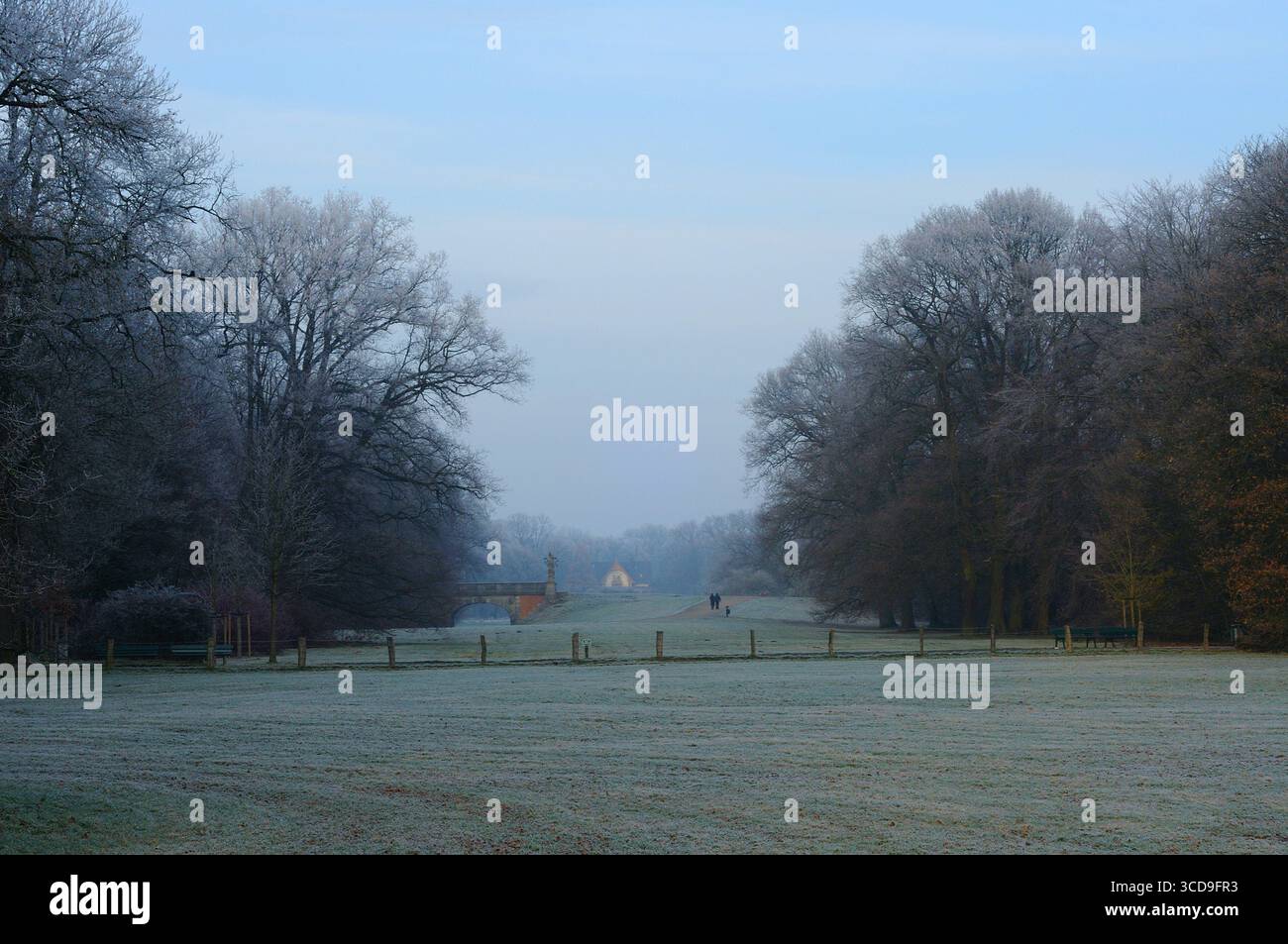 Eisige Winterlandschaft mit frostbedeckten Bäumen, die einen breiten gefrorenen Rasen unter einem nebligen blauen Himmel säumen. Stockfoto