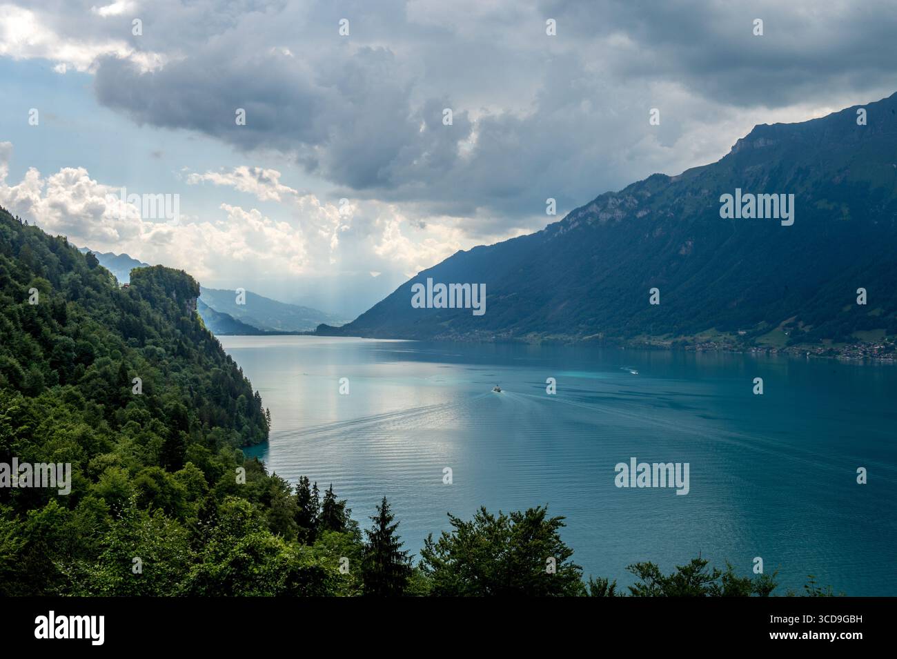 Blick auf den Genfer See aus der Vogelperspektive, umgeben von Schweizer Alpen, malerischer Landschaft, blauem Wasser, grünen Tälern und malerischen Städten. Stockfoto