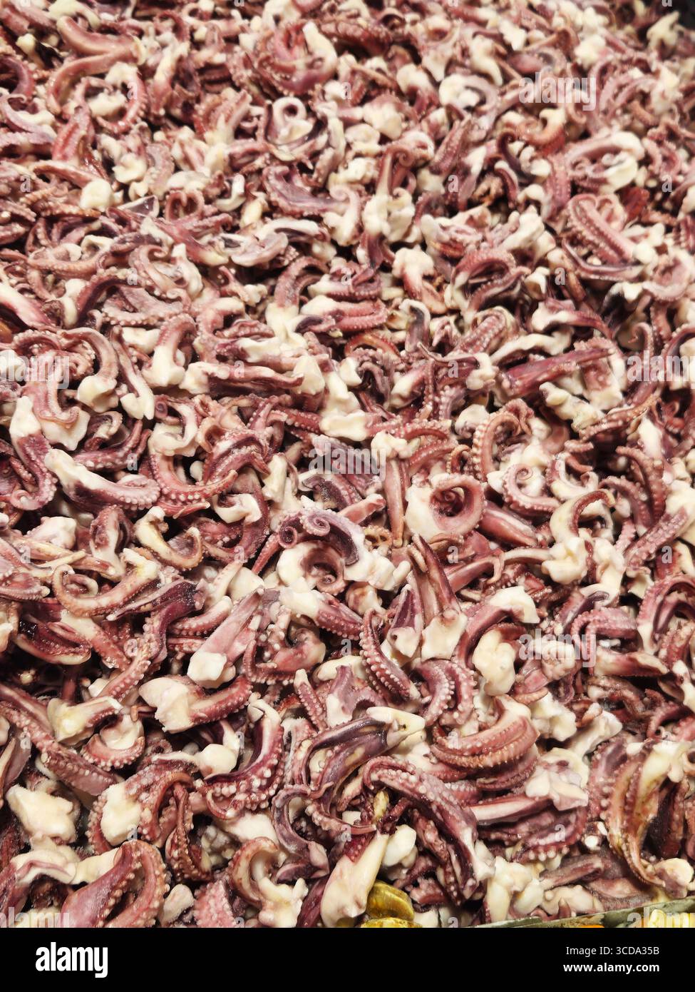 Oktopus Tentakeln Close-up - Blanchierte Meeresfrüchte-Zutat, gestapelt in Market Tray Stockfoto