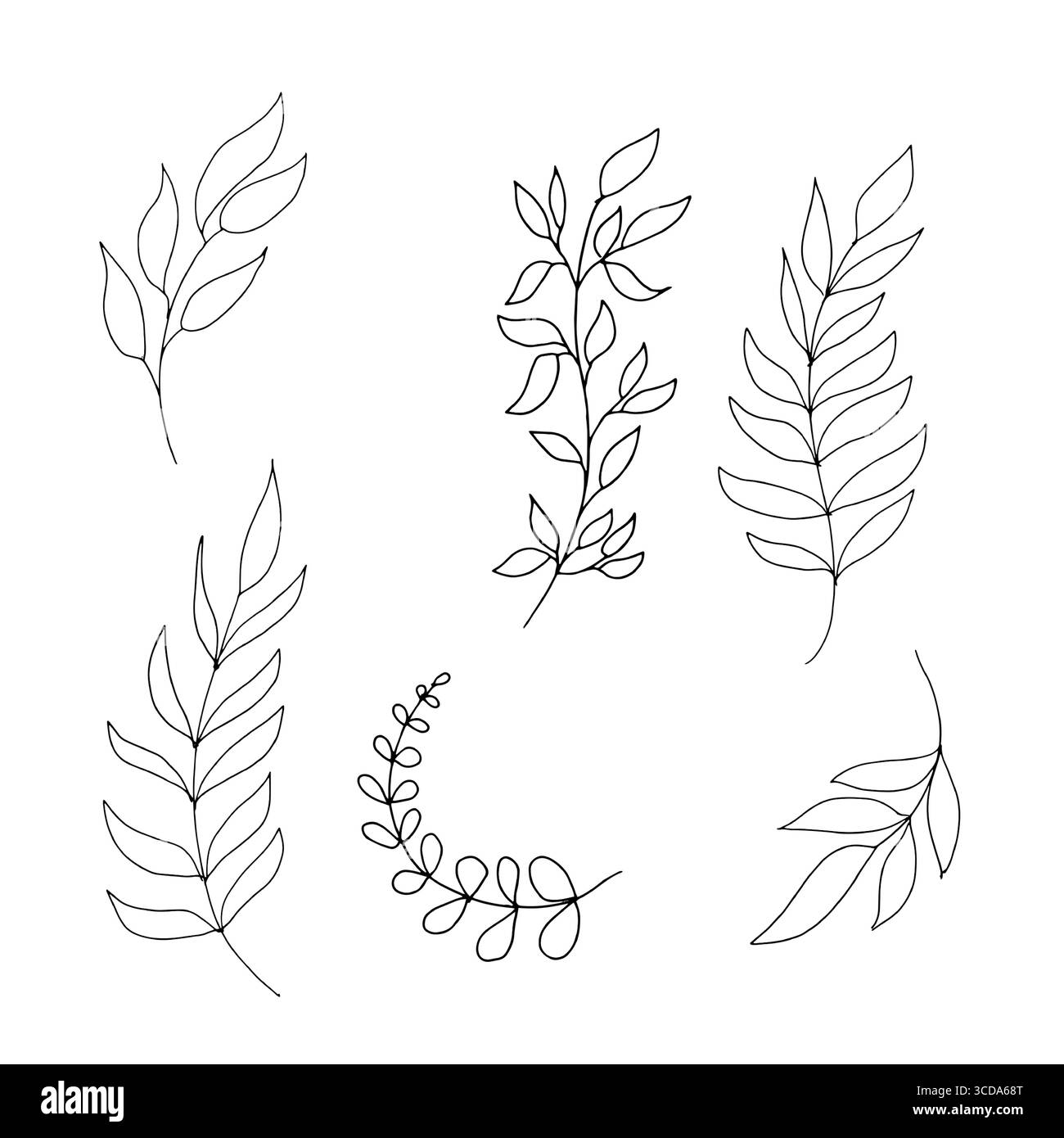 Ein Zweig mit feinen dünnen Blättern, skizzieren Sie in einem einfachen Stil. Vektorabbildung. Die Zweige eines Oliven- und Weidenbaums sind auf weiß isoliert Stock Vektor