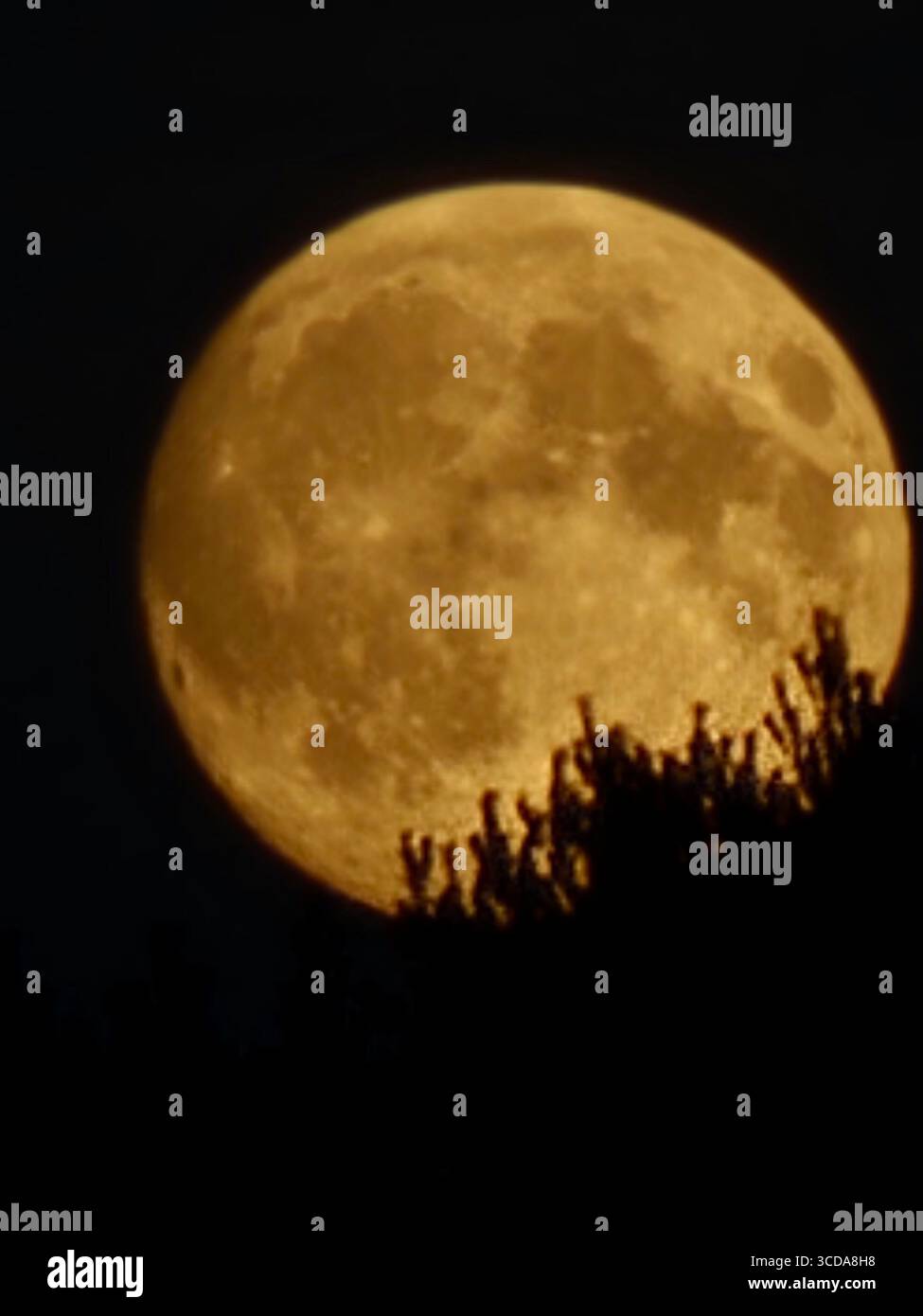 Wenn der Mond draußen ist, wird die wunderschöne Architektur im Licht - Smartphone-aufgenommenes Stockfoto