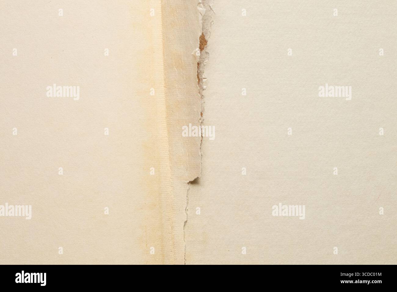 Seiten eines offenen Buches weiß alt gelblich und gerissen in der Mitte des Buches Nahaufnahme als Hintergrund für Design Stockfoto