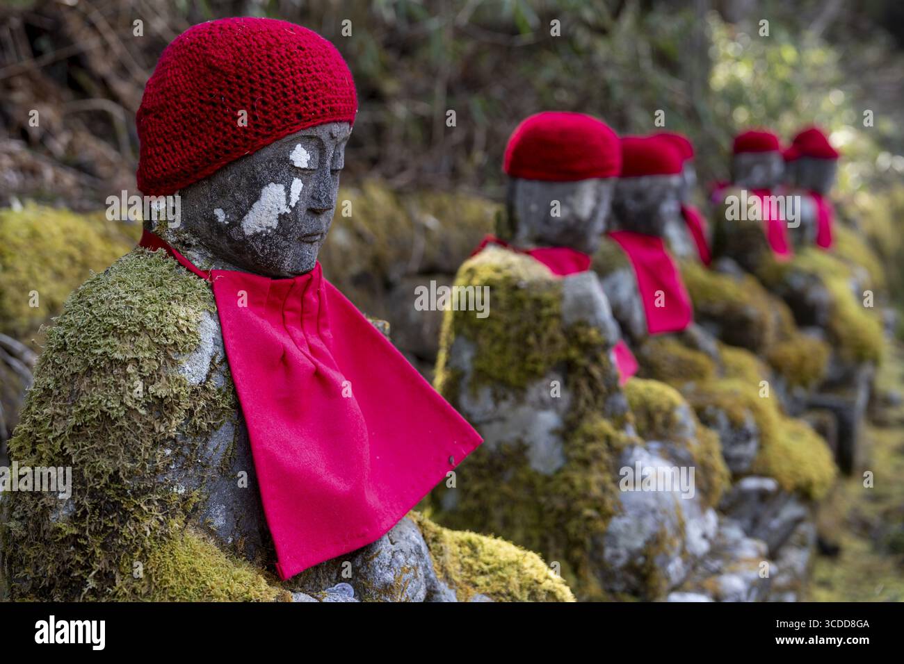 Jizo-Statuen in Kanmangafuchi Abgrund, Nikko, Präfektur Tochigi, Japan Stockfoto