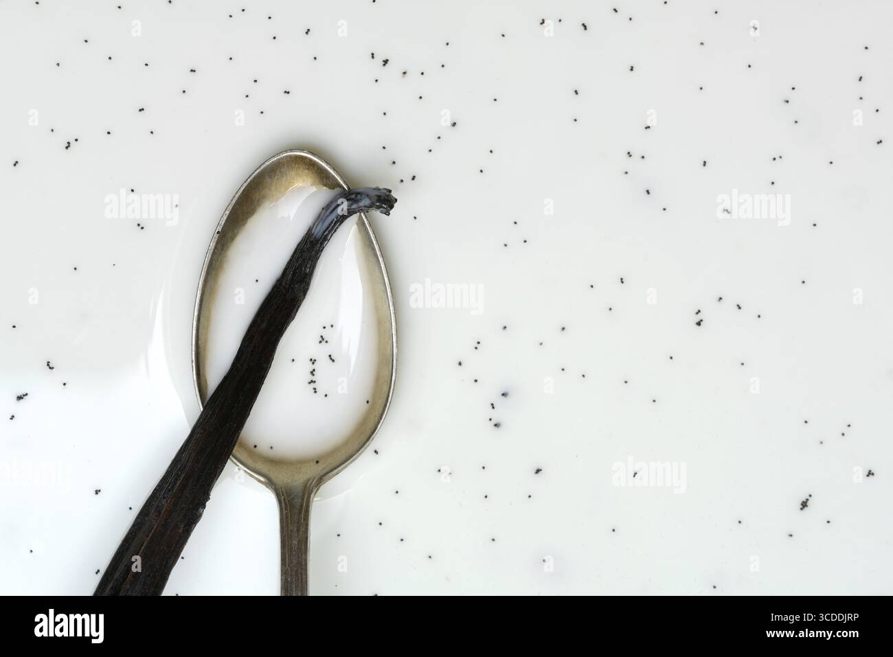 Löffel mit Vanilleschote, Vanillekerne in Milch Stockfoto