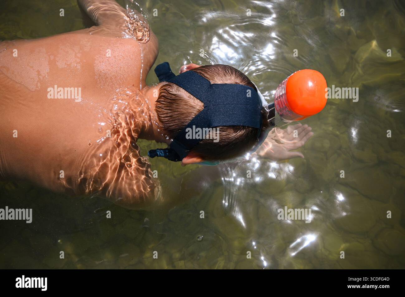 Junger Abenteurer, der sich in das Unterwasserreich eintaucht und die Meereslebewesen mit einer Schnorchelmaske beobachtet. Stockfoto