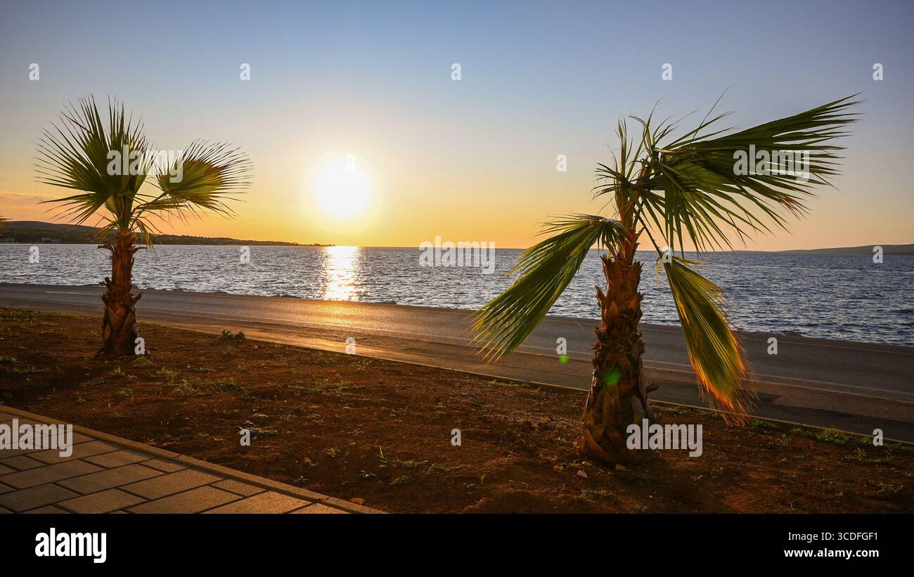 Palmen schweben sanft in der Brise, während die Sonne über einem ruhigen Meer untergeht und einen warmen goldenen Glanz auf den tropischen Strand wirft. Stockfoto