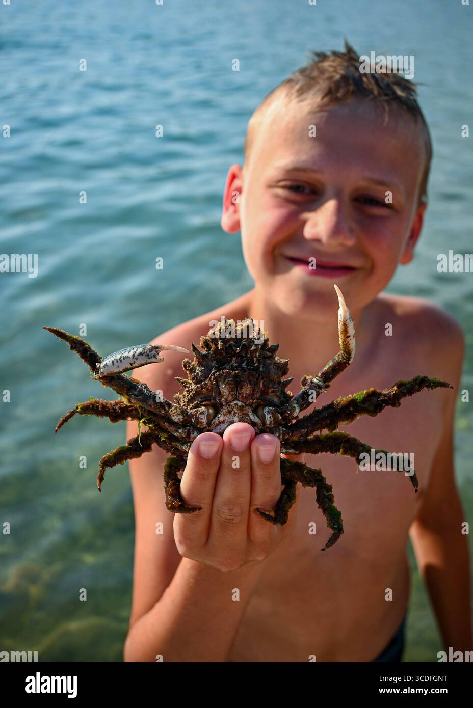 Ein lächelnder Junge zeigt eine lebende Krabbe, die er am Strand gefangen hat. Stockfoto
