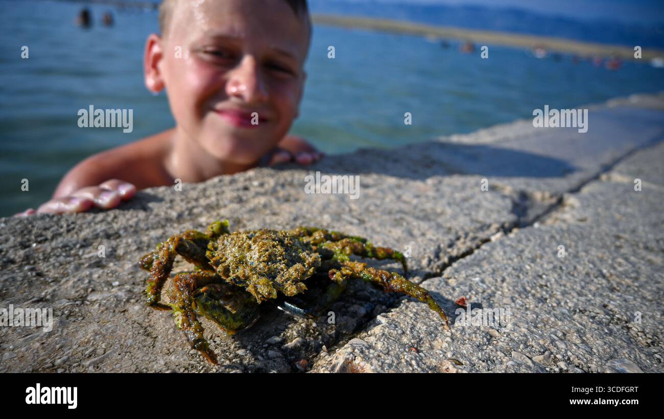 Kind beobachtet die Meereslebewesen und genießt den Sommerurlaub am Strand. Stockfoto