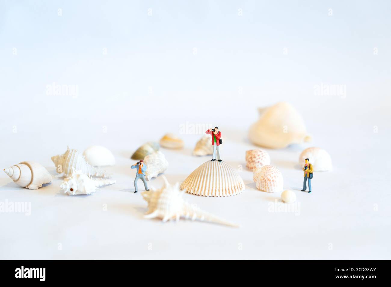 Miniaturreisende erkunden eine Muschellandschaft mit Kameras – Tiny People on Beach Adventure in einem kreativen Fotografiekonzept Stockfoto
