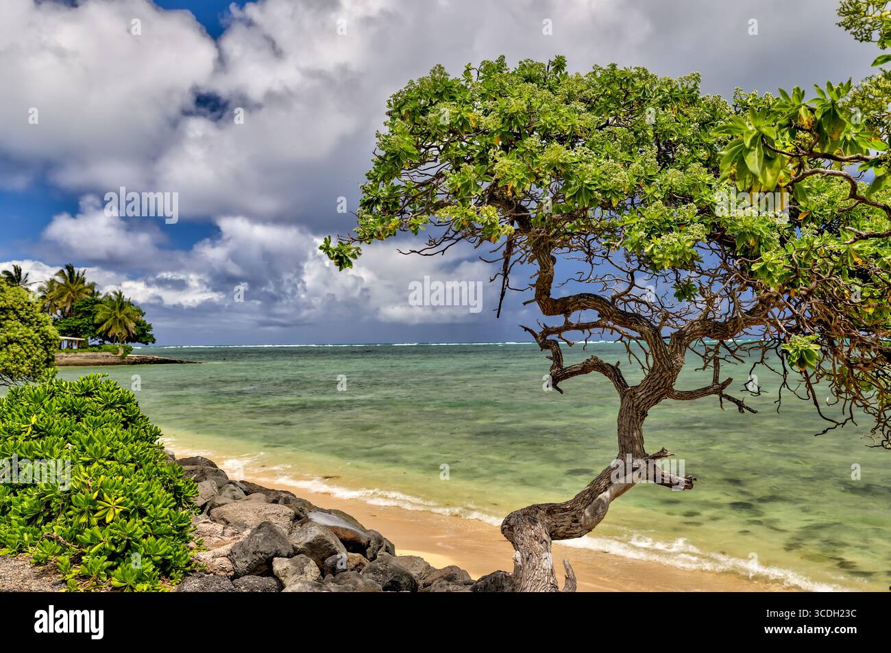 Landschaft der Wälder und der nahe gelegenen Küste der Kualoa Ranch, berühmt für Szenen aus dem Jurassic Park und viele andere Filme Stockfoto