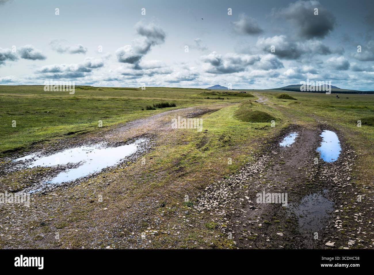 Eine raue Strecke auf dem windgepeitschten Bodmin Moor in Cornwall in Großbritannien; im Hintergrund sind Brown Willy Bronn Wennili und Rough Tor Roughtor. Stockfoto