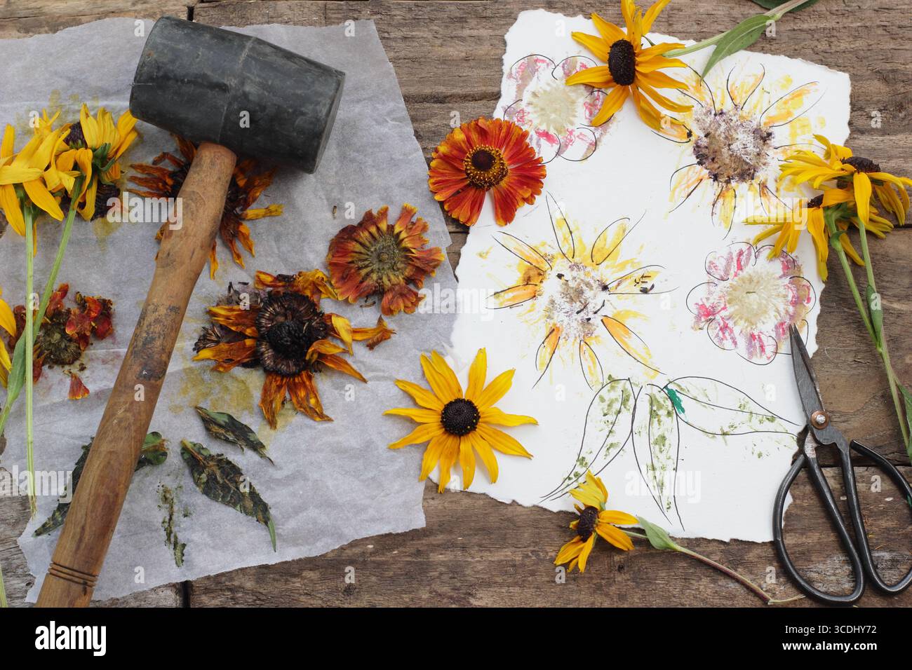 Tatakizome. Floral Art auf Aquarellpapier, das durch Blumenstämmern entsteht, dem japanischen Handwerk, Pigmente auf Papier oder Stoff zu übertragen. UK Stockfoto