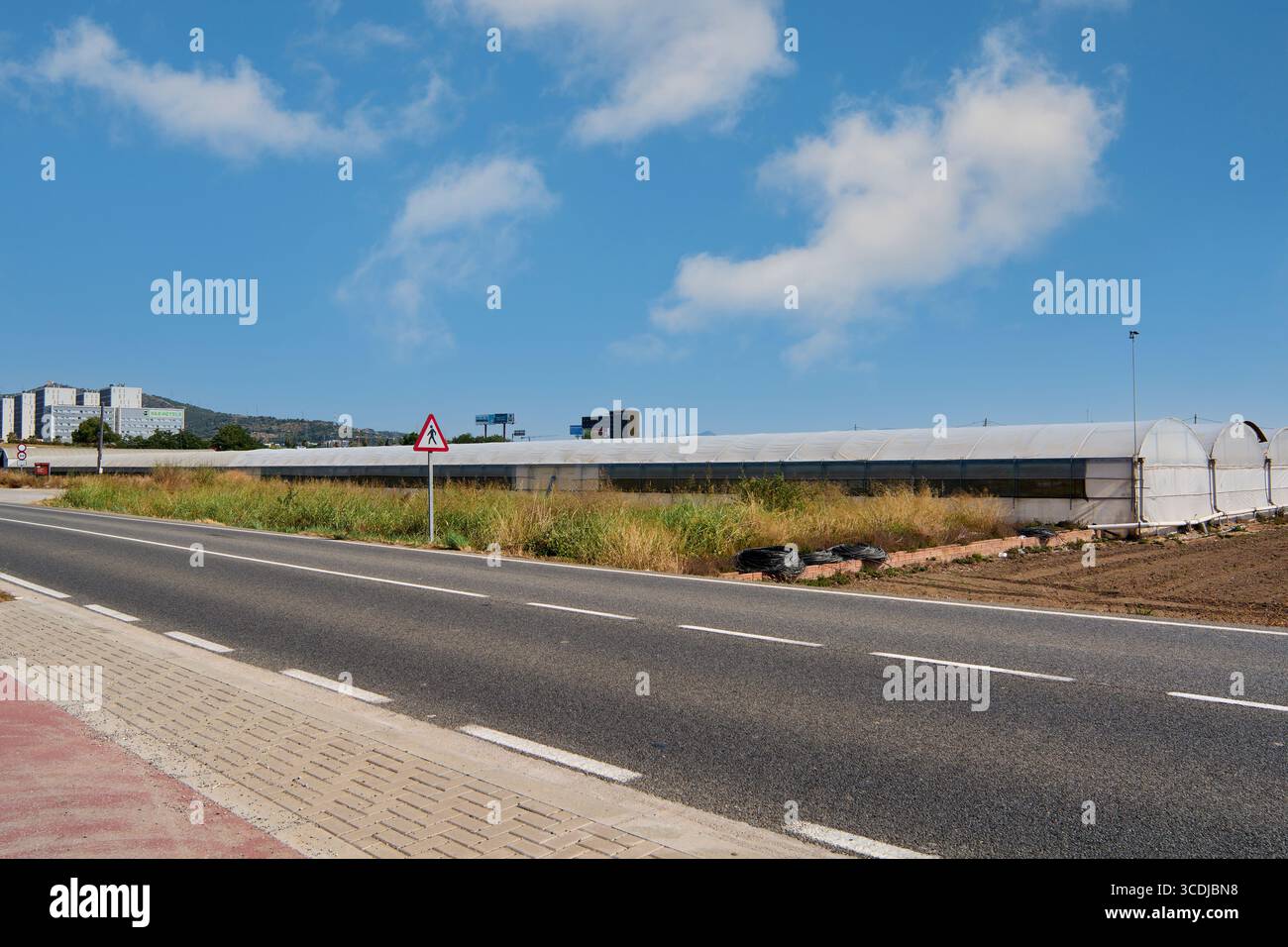 Viladecans. Barcelona - 13. August 2025: Straße an ein ausgedehntes Gewächshaus-Feld mit einer urbanen Landschaft aus modernen Gebäuden im Hinterland Stockfoto