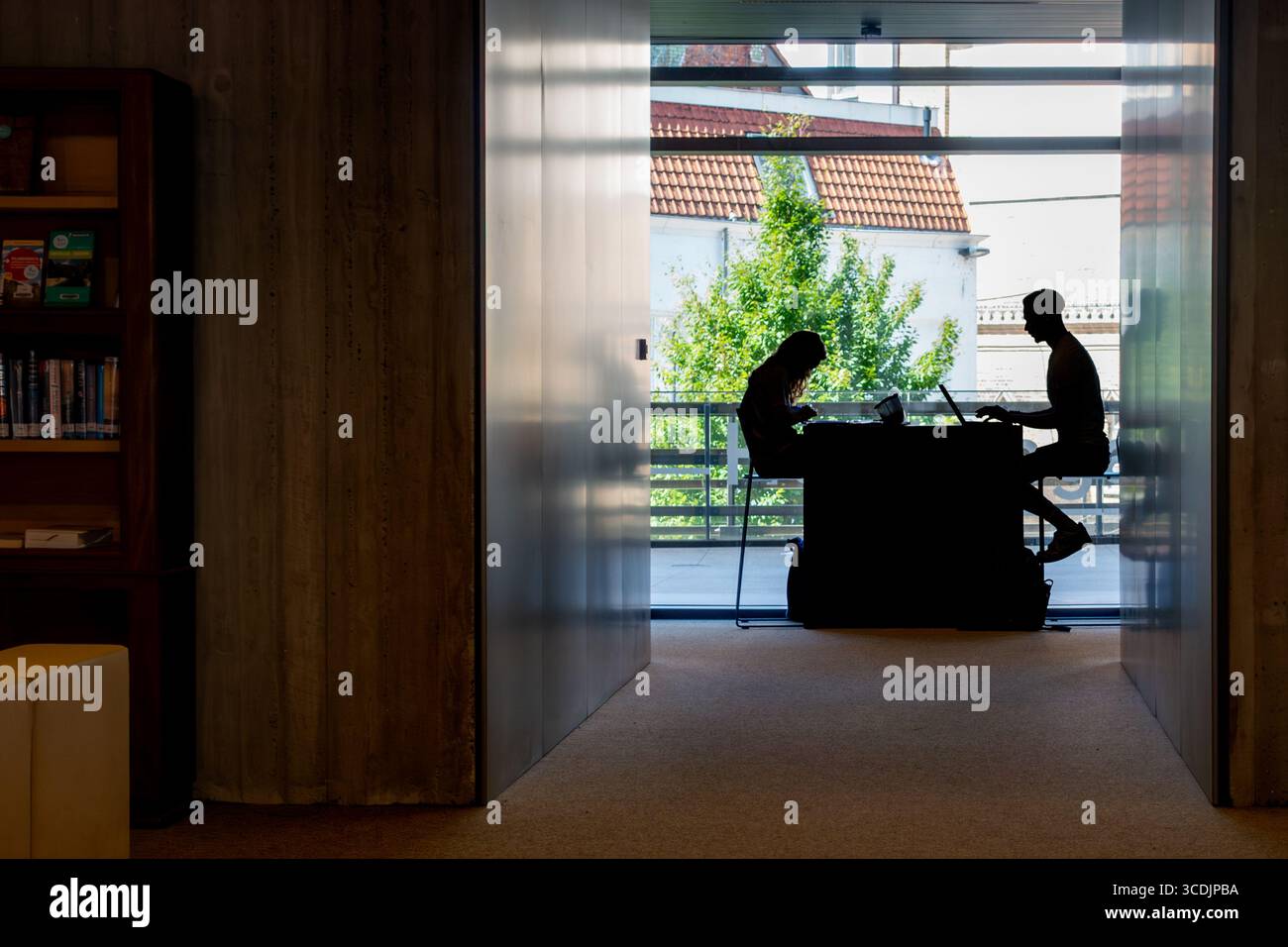 Silhouette von zwei Universitätsstudenten mit Laptop, die in der öffentlichen Bibliothek für ihre Nachprüfung/Nachprüfung in den Sommerferien studieren Stockfoto