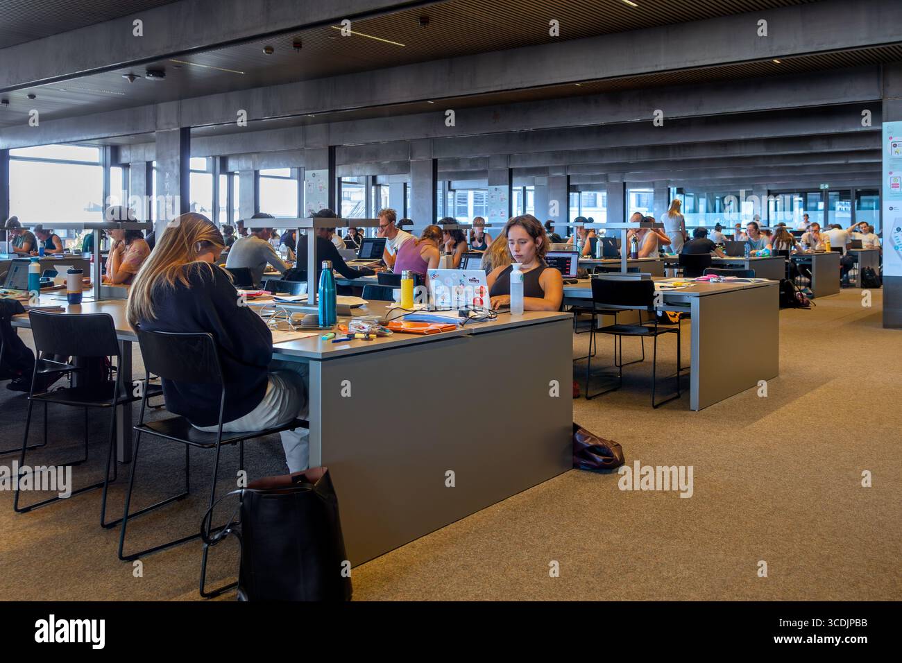 Universitätsstudenten mit Laptops, die in der öffentlichen Bibliothek de Krook für ihre erneute Prüfung während der Sommerferien in der Stadt Gent, Belgien, studieren Stockfoto