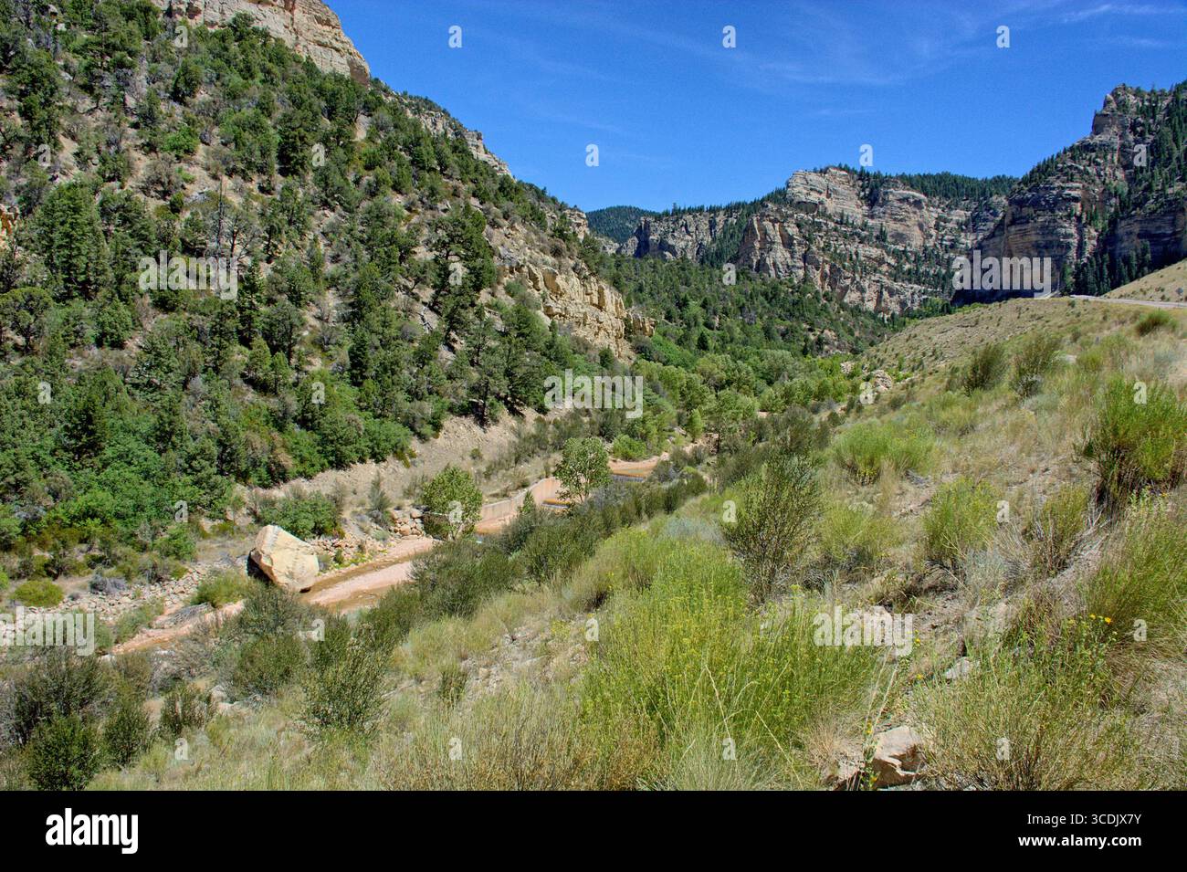 Naturlandschaft des Cedar Canyon, Utah Stockfoto