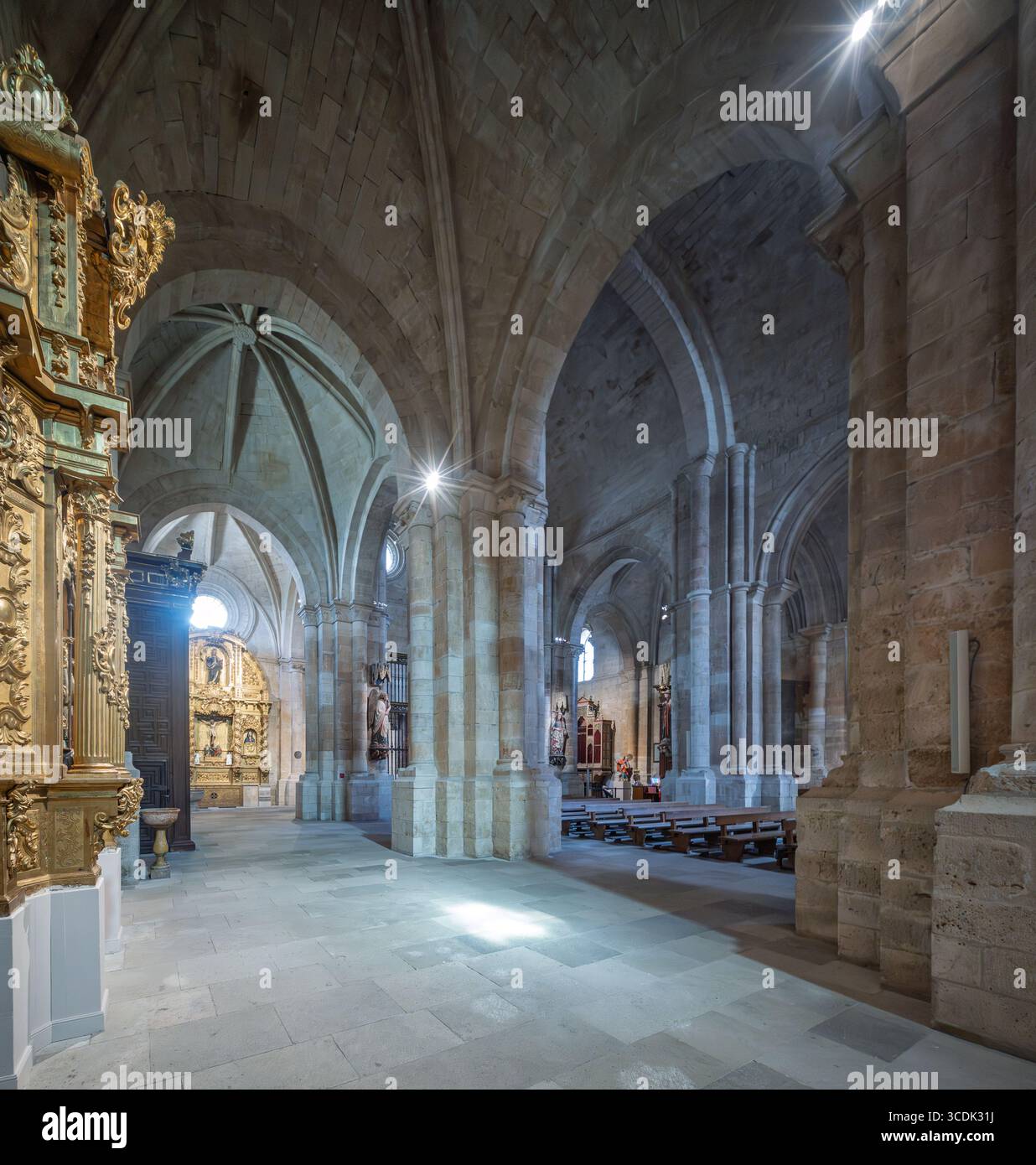 Weiches natürliches Licht filtert durch gerippte Gewölbe und Rahmenkapellen und zeigt vergoldete Altaraufsätze in Toros Collegiate Church. Stockfoto