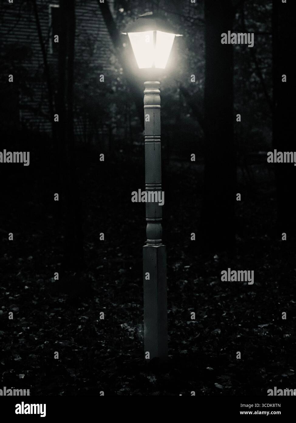 Schwarz-weiße Lamelle beleuchtet am Abend. Stockfoto