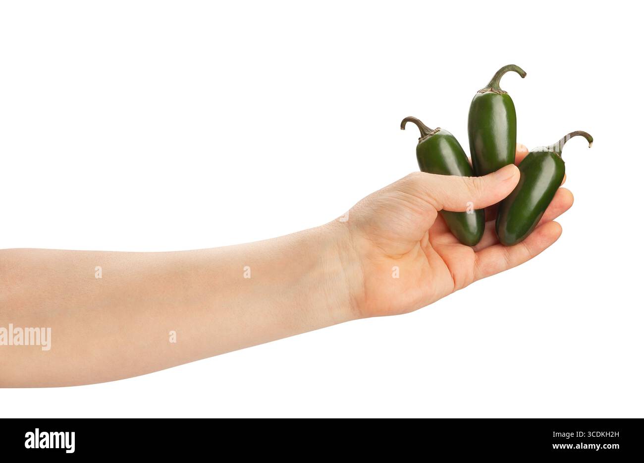 jalapeno Chili-Pfeffer im Handweg isoliert auf weiß Stockfoto