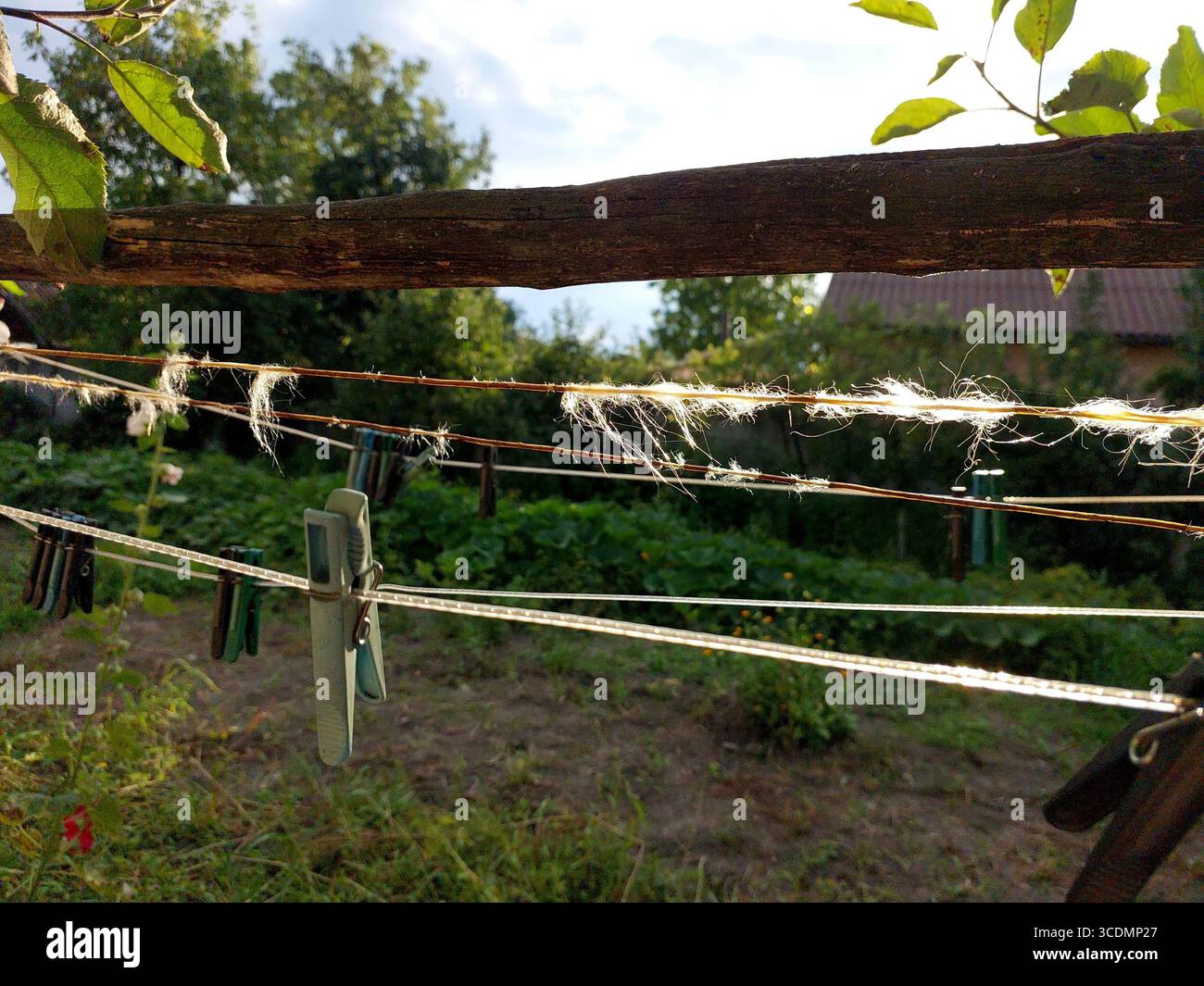 In den Garderoben werden frisch gewaschene Kleidung an einer Schlange in einem Garten gehalten, der von Grün umgeben ist, und die Sonne scheint hell am blauen Himmel. Stockfoto