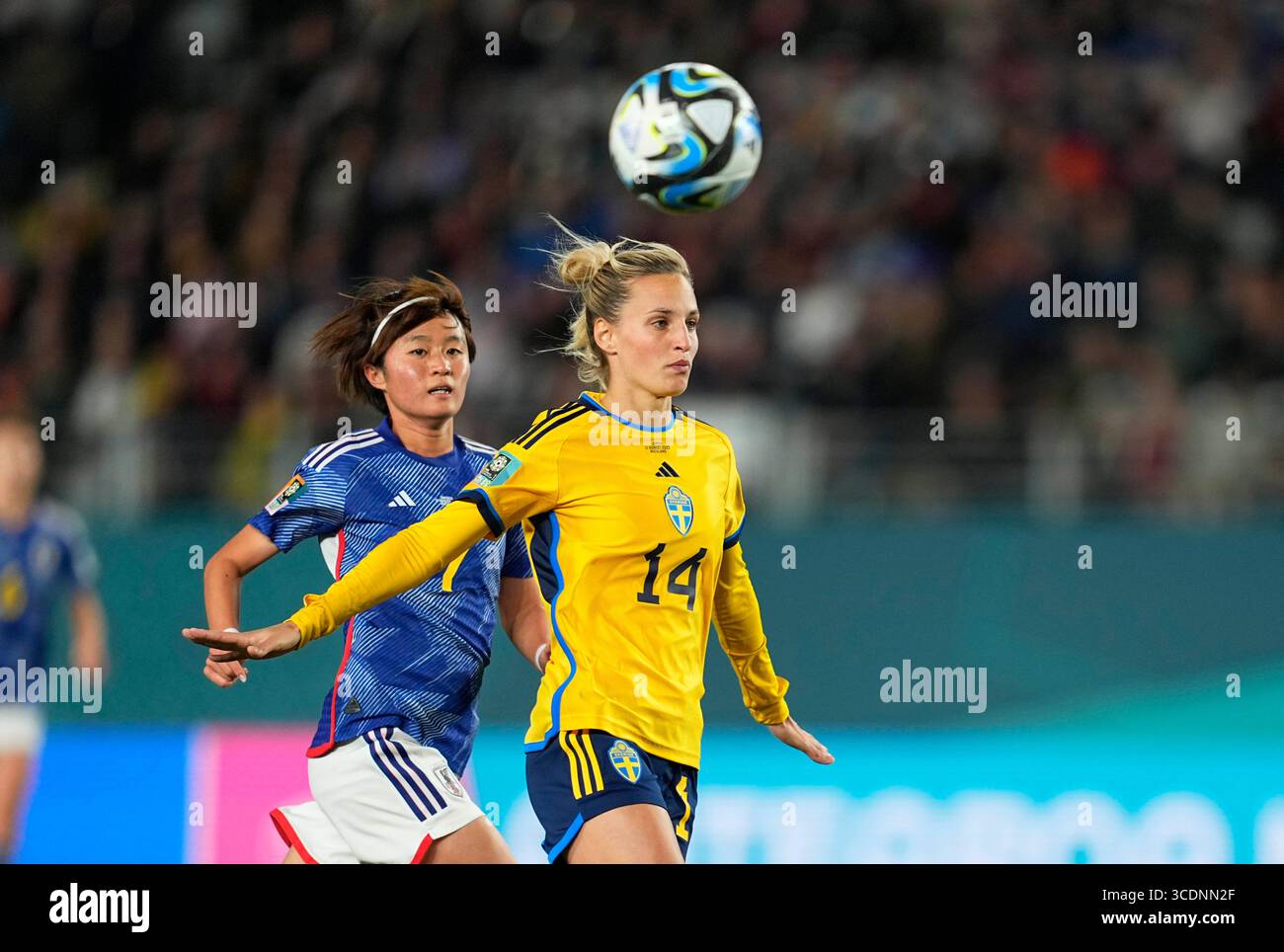 11. August 2023: Nathalie Bjorn (Schweden) schaut während eines Spiels zu, bei , , . Kim Price/CSM (Kreditbild: © Kim Price/CSM via ZUMA Press Wire) Stockfoto