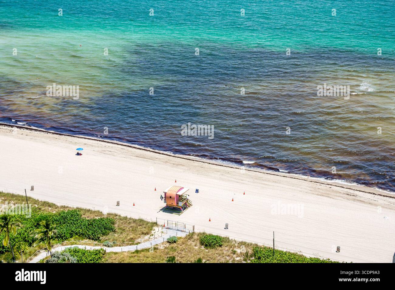 Miami Beach Florida, North Beach, Ocean Terrace Public Beach, Atlantik Surf, Wasser Küste Küste, Algen Unkraut Sargassum Makroalgen Algen Marine de Stockfoto