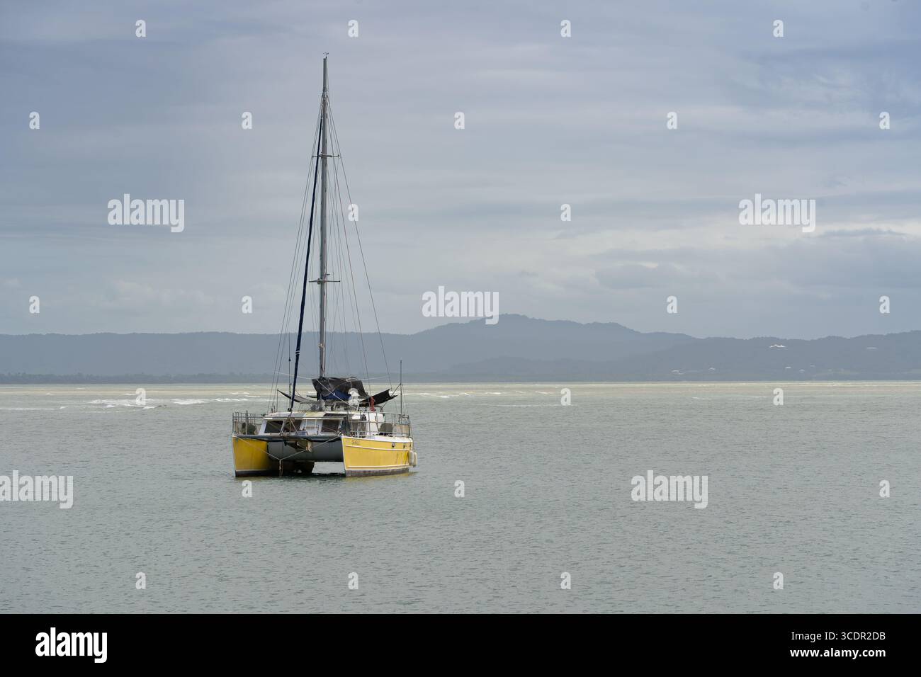Ein gelber Katamaran ruht friedlich auf dem klaren, türkisfarbenen Wasser, das direkt vor der atemberaubenden Küste von Port Douglas im tropischen Queensland liegt. Stockfoto