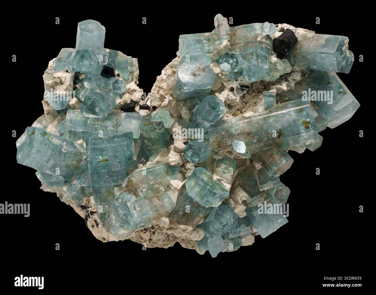 Berylsorte Aquamarin mit schwarzem Turmalin (Schorl) aus den Erongo Mountains, Erongo Region, Namibia. Stockfoto