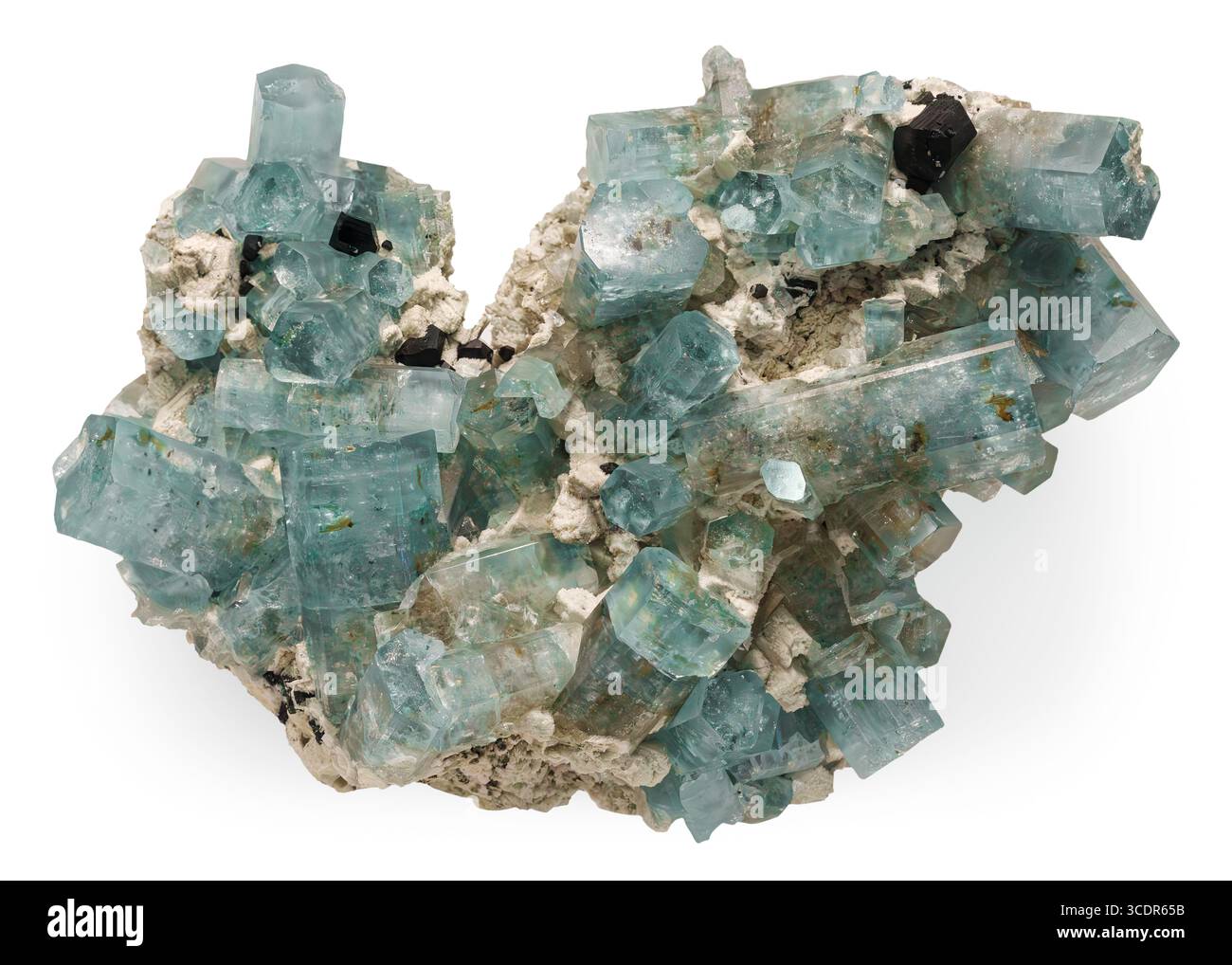 Berylsorte Aquamarin mit schwarzem Turmalin (Schorl) aus den Erongo Mountains, Erongo Region, Namibia. Stockfoto