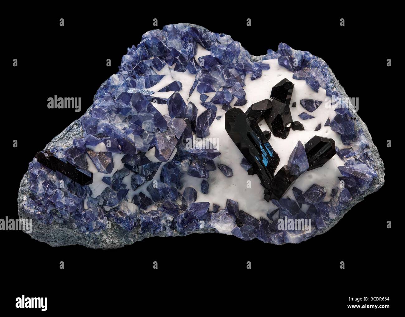 Benitoit mit Neptunit (BaTiSi₃O₉ mit KNa²Li(Fe²⁺,Mn²⁺)₂Ti₂Si₈O₂₄), Dallas Gem Mine, San Benito County, Kalifornien, USA Stockfoto