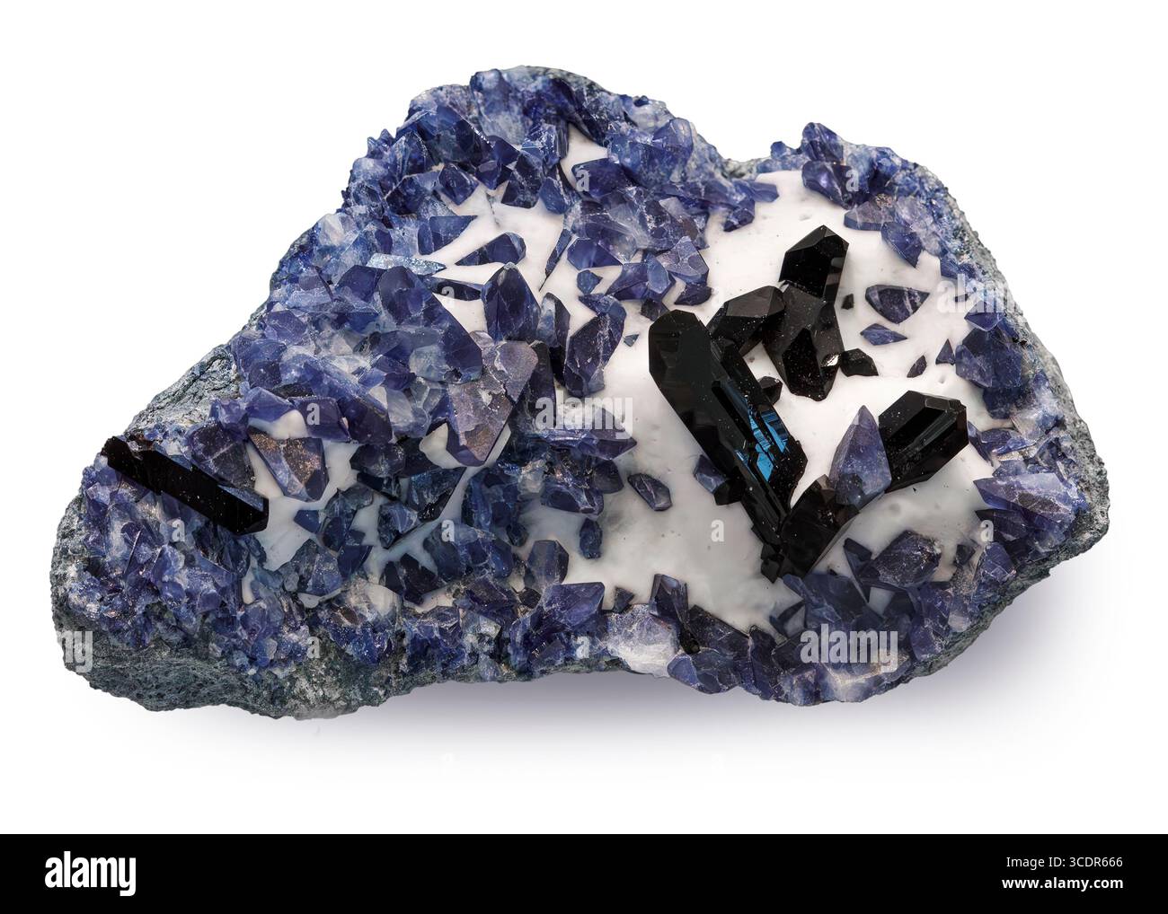 Benitoit mit Neptunit (BaTiSi₃O₉ mit KNa²Li(Fe²⁺,Mn²⁺)₂Ti₂Si₈O₂₄), Dallas Gem Mine, San Benito County, Kalifornien, USA Stockfoto