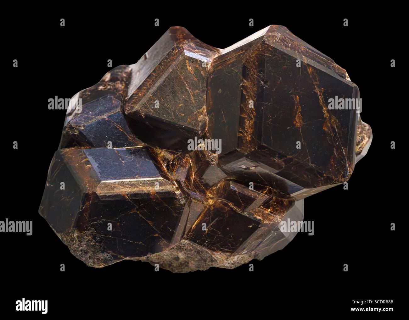 Andradite Granat (Ca₃Fe₂(SiO₄)₃), Miracle Mountain Mine, Calaveras County, Kalifornien, USA Stockfoto