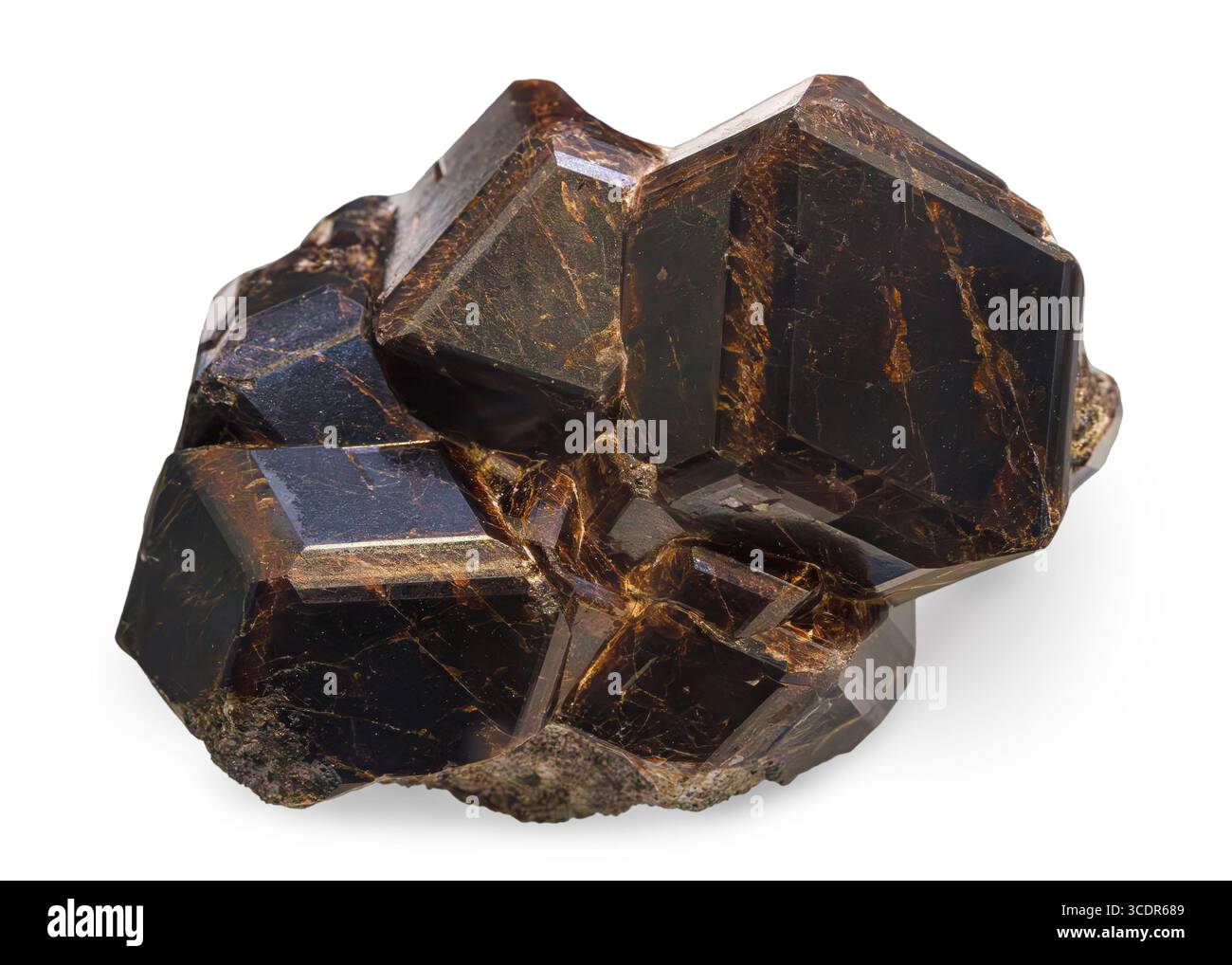 Andradite Granat (Ca₃Fe₂(SiO₄)₃), Miracle Mountain Mine, Calaveras County, Kalifornien, USA Stockfoto