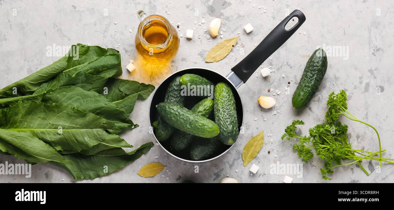 Zusammensetzung mit frischen Gurken und Zutaten zur Konservierung auf grauem Hintergrund Stockfoto