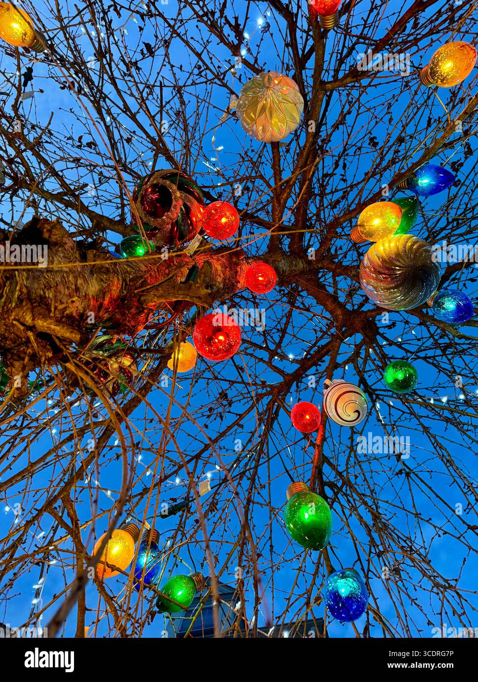 Ein karger Winterbaum, der abends beleuchtet wird und mit bunten Weihnachtsschmuck geschmückt ist - Smartphone-aufgenommenes Stockfoto