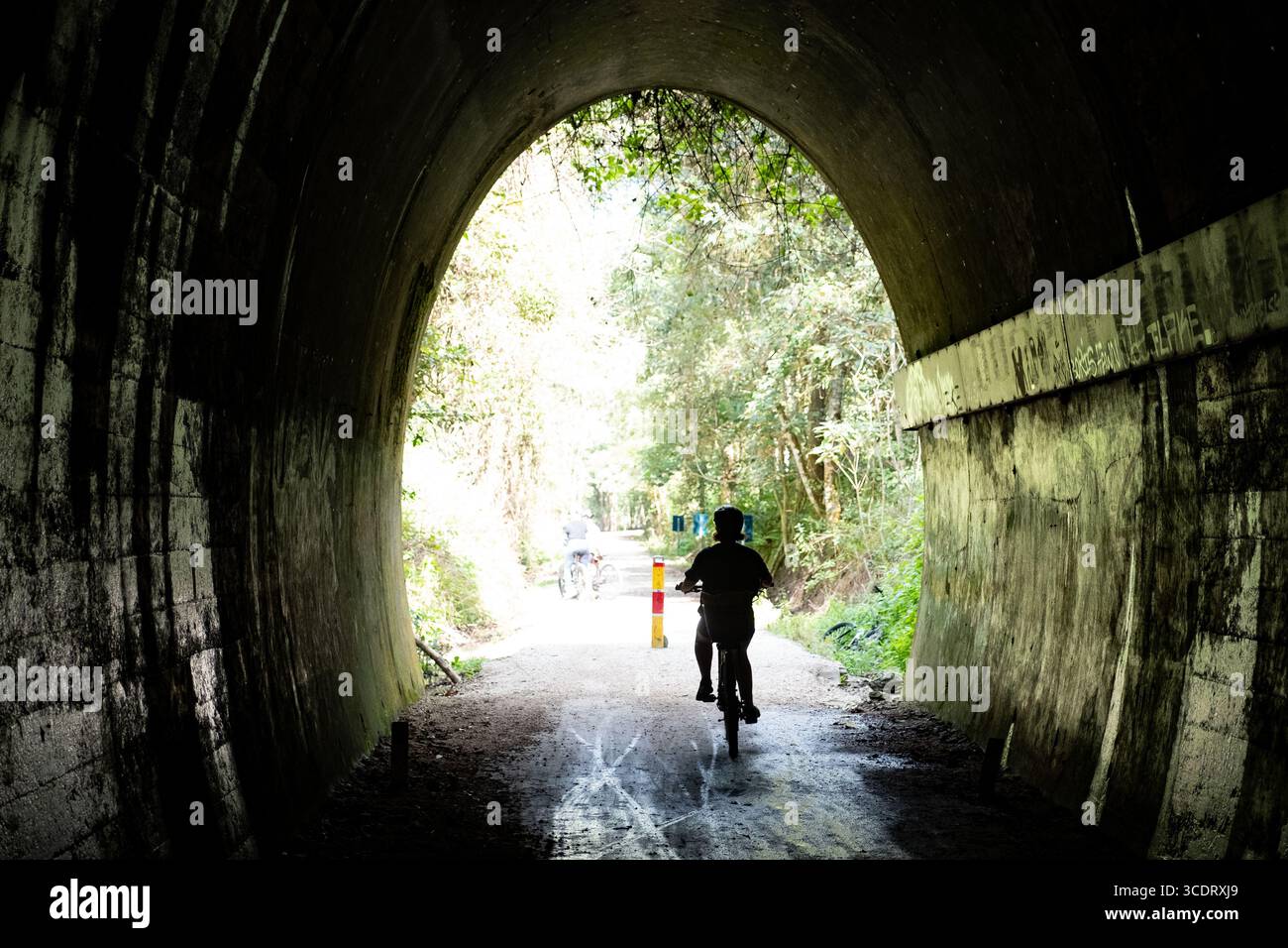Ein Radfahrer verlässt einen Tunnel auf dem Northern Rivers Rail Trail in der Nähe von Mooball, NSW, Australien Stockfoto