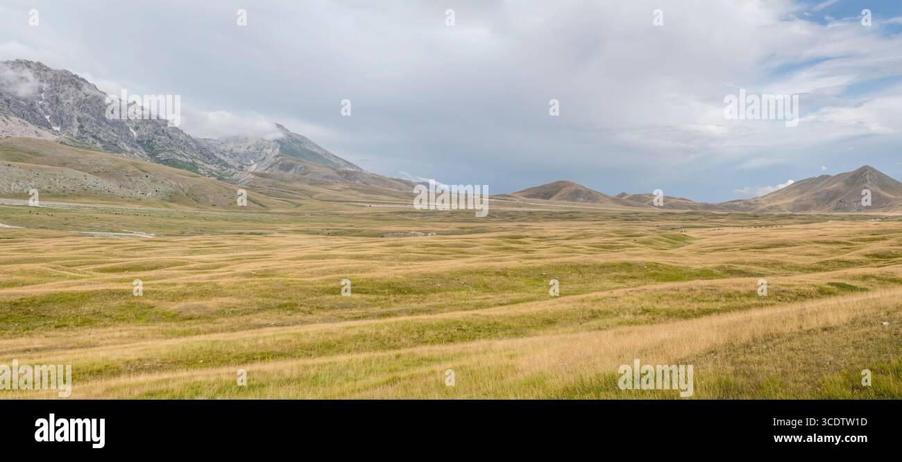 Landschaft mit einer großen Pferdeherde auf dem Campo Imperatore-Hochland und Meeresbrise-Wolken, die die Laga Mountains im Hintergrund umhüllen, aufgenommen im hellen Sommer Stockfoto