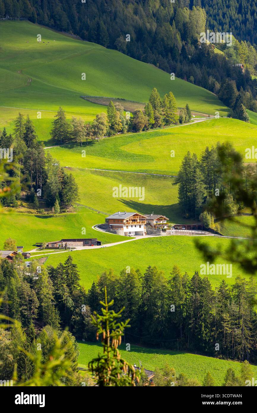 Dolomiten, Italien. Panoramablick auf die Dorfhäuser St. Magdalena oder Santa Maddalena im Sommer Stockfoto