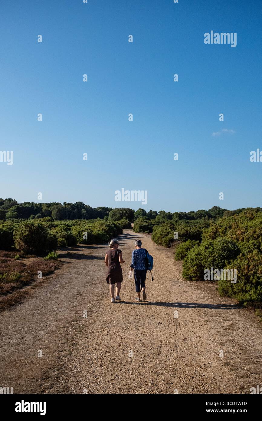 Zwei Seniorinnen gehen an einem Sommertag in Richtung Sonnenuntergang im New Forest Hampshire Stockfoto