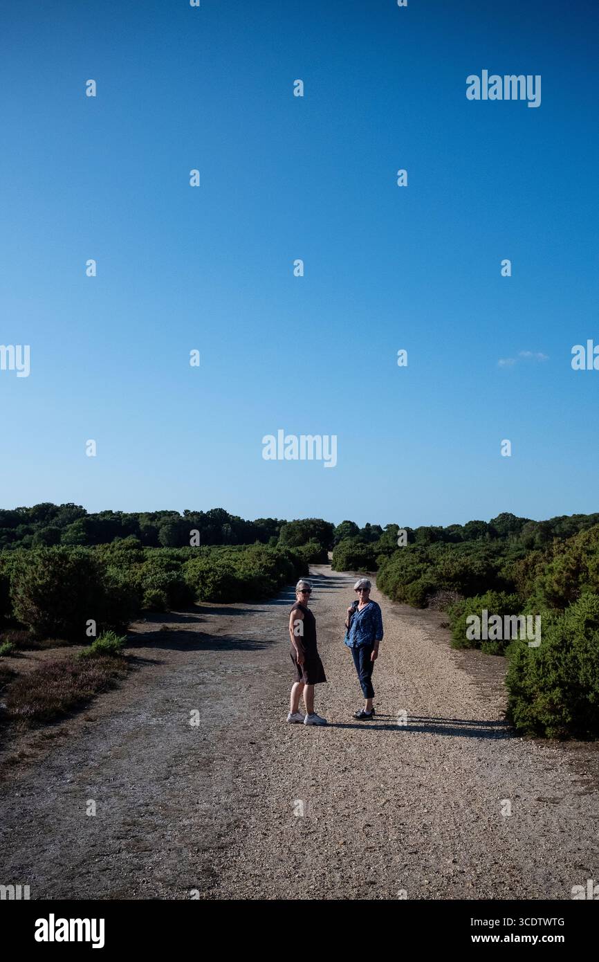 Zwei ältere Frauen, die an einem Sommertag im New Forest Hampshire bei Sonnenuntergang in Richtung Kamera schauen Stockfoto