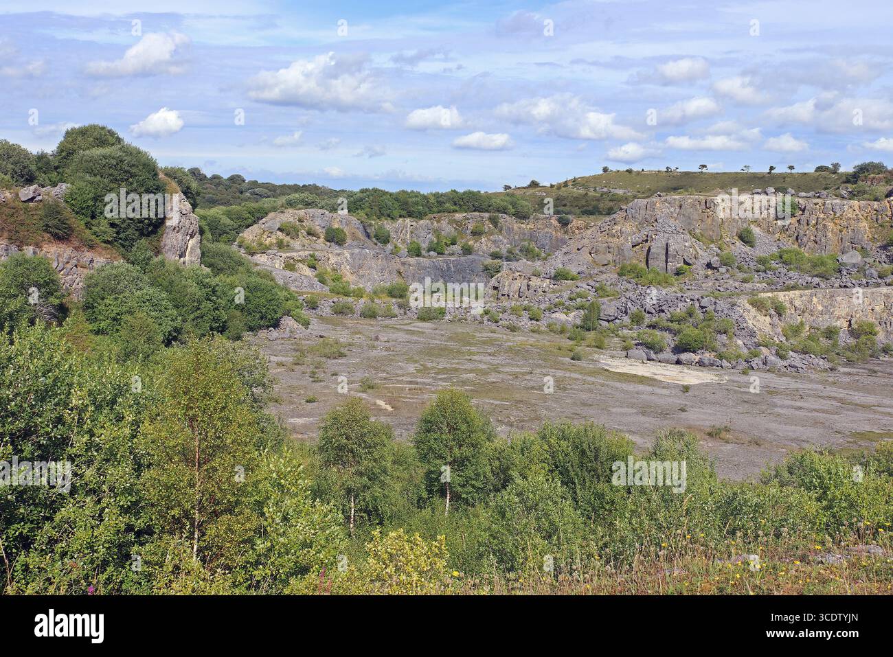 Minera Steinbruch - ein ehemaliger Tagebau Kalksteinbruch jetzt ein North Wales Wildlife Trust Naturschutzgebiet Stockfoto