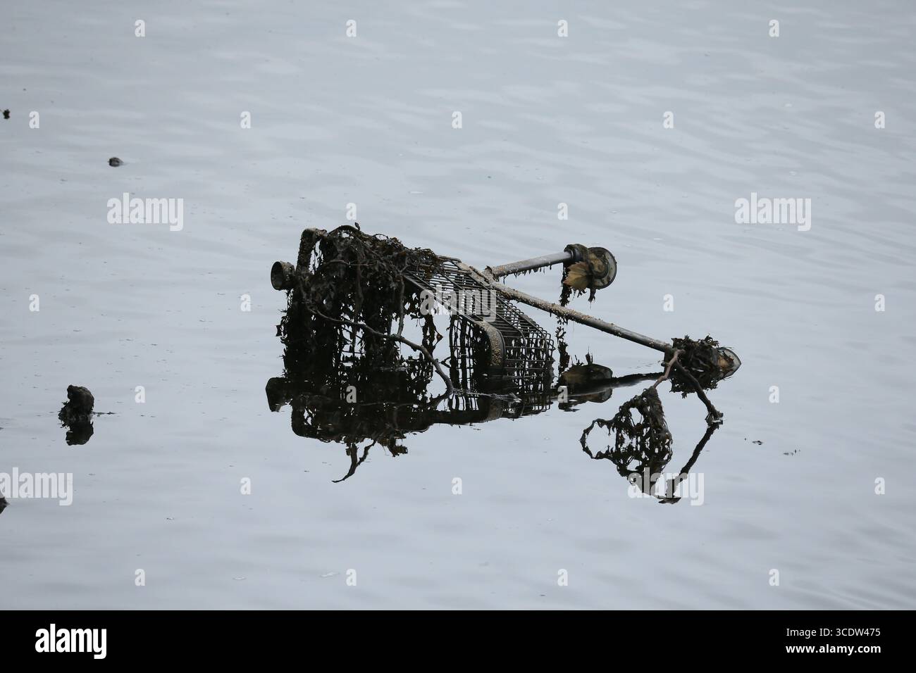 Dublin, Irland - 25. Juli 2025 - Ein Supermarkt-Trolley, bedeckt mit Schmutz, sichtbar am Flußbett des Liffey bei Ebbe im Stadtzentrum von Dublin Stockfoto