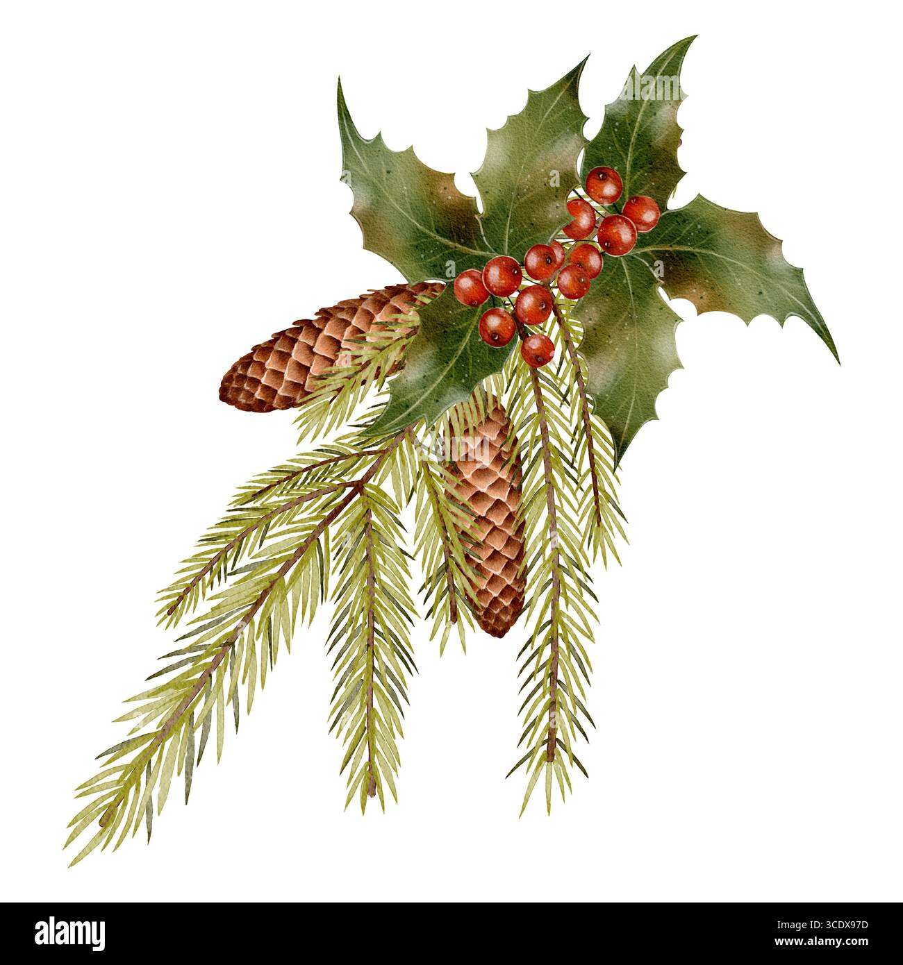 arborvitae thuja occidentalis Techny Arborvitae main image 0