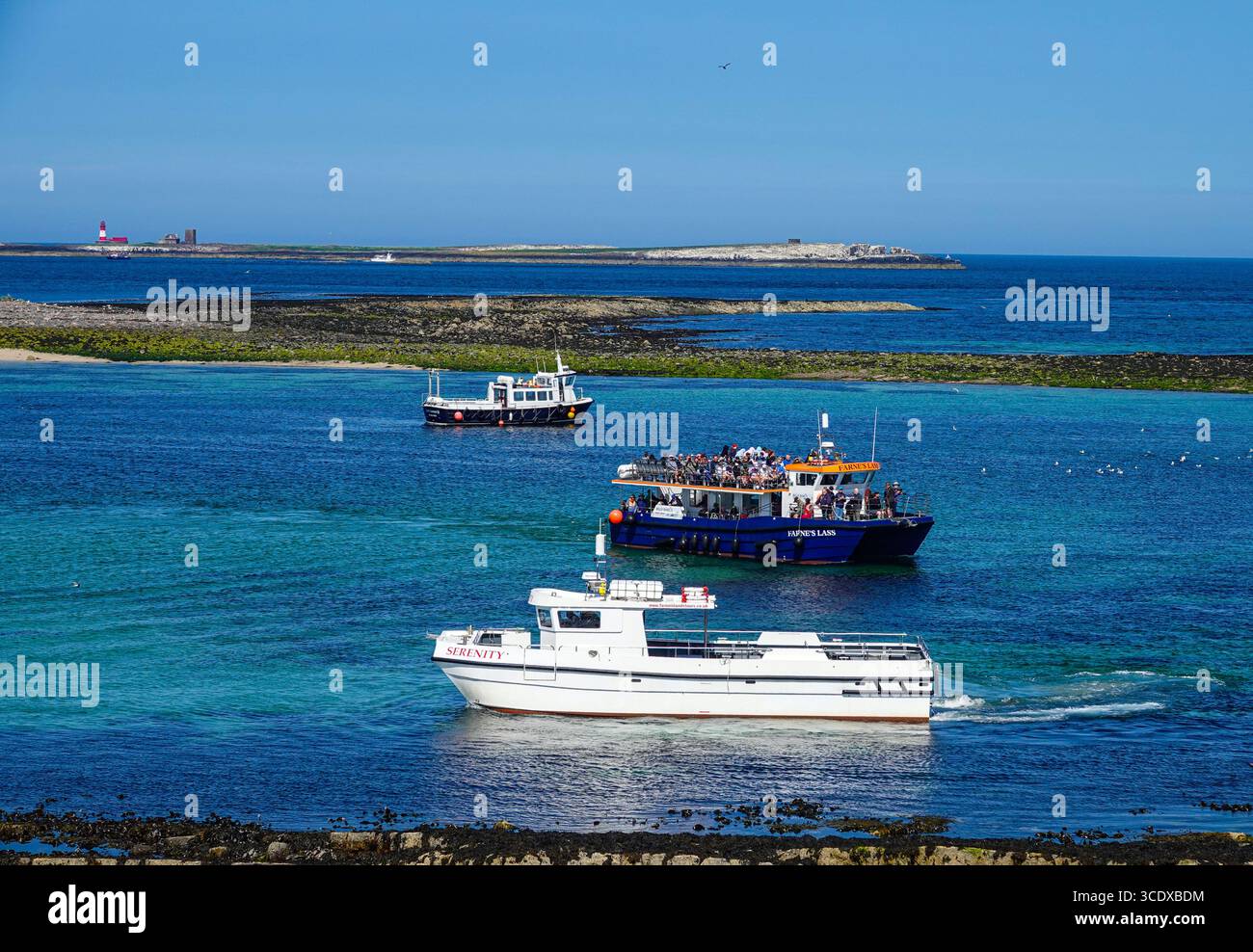 Seahouses, Farne Islands, Touristenziel, Northumberland, Nordengland, UK Stockfoto