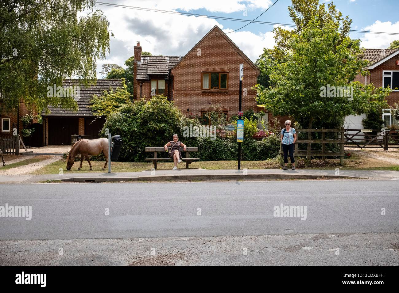 Der New Forest, Burley, Ponys grasen, während ein Paar auf den Bus wartet. Die Ponys laufen frei durch den Wald und die Dörfer Stockfoto