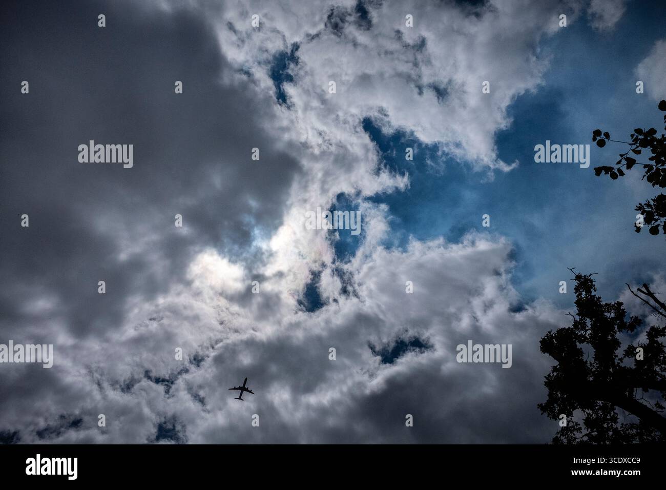 Flugzeuge fliegen in dramatischen Wolken, umrandet von Bäumen, und ein Flugzeug kommt in den Rahmen DC8 Stockfoto
