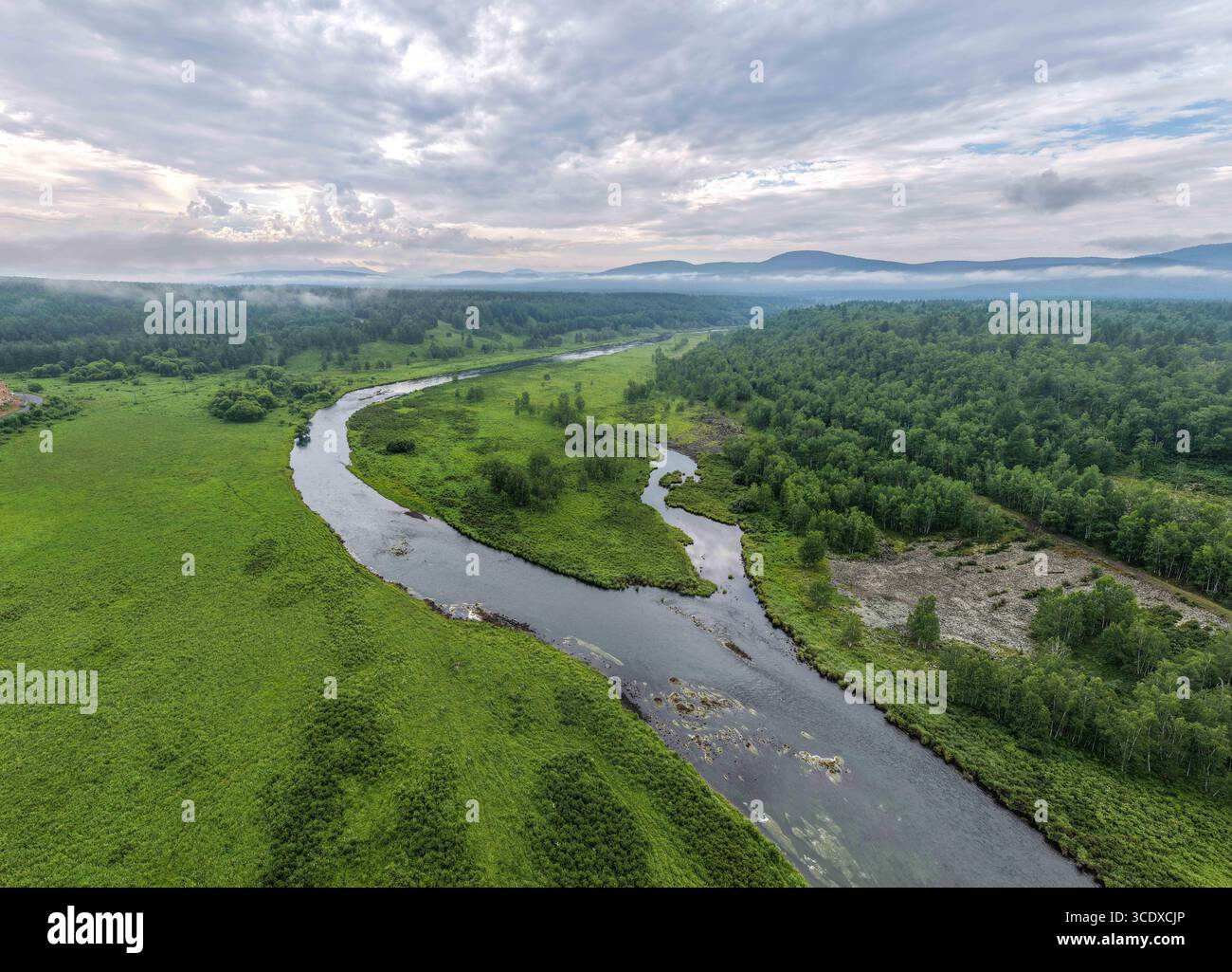 Hohhot. Juli 2025. Eine Luftdrohne, die am 28. Juli 2025 aufgenommen wurde, zeigt den Halha-Fluss in Arxan, der autonomen Region der Inneren Mongolei im Norden Chinas. Arxan, eine Stadt mit weniger als 40.000 Einwohnern und einer Vegetationsfläche von über 95 Prozent, liegt am südwestlichen Fuß des Dahinggan-Gebirges, dem Schnittpunkt von vier großen Graslandschaften in Nordchina. Heute ist es ein immer beliebter werdendes Reiseziel. Quelle: Ma Jinrui/Xinhua/Alamy Live News Stockfoto